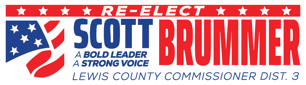 Re-Elect Scott Brummer